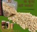 Peanut House